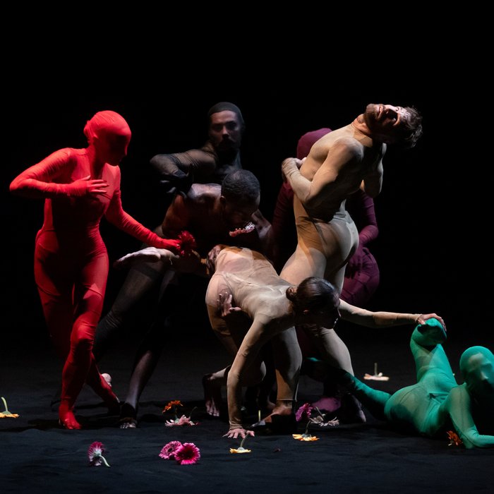 New Earth by Shahar Binyamini